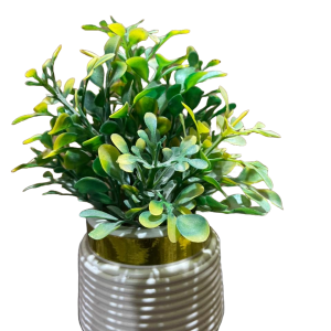 Elegant Artificial Green Plant in Ceramic Pot - Image 2 Elegant Artificial Green Plant in Ceramic Pot - Image 3 Elegant Artificial Green Plant in Ceramic Pot - Image 4 Elegant Artificial Green Plant in Ceramic PotElegant Artificial Green Plant in Ceramic Pot - Image 2Elegant Artificial Green Plant in Ceramic Pot - Image 3Elegant Artificial Green Plant in Ceramic Pot - Image 4 Elegant Artificial Green Plant in Ceramic Pot